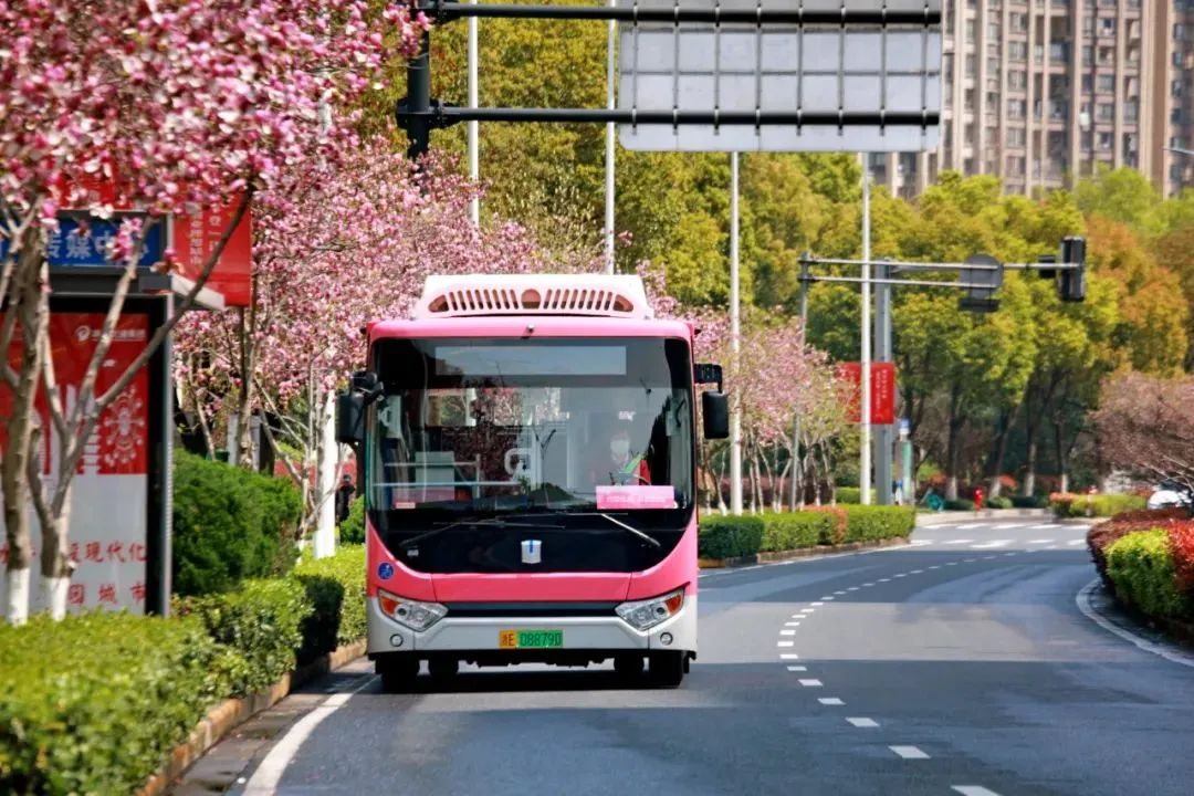 公共交通的邏輯重構(gòu)之三：從?；镜綇?qiáng)吸引的再思考